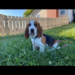 Meet your Posher, Tiffany